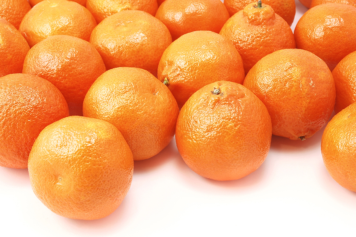 Peru Establishes New Record for Mandarin Shipments